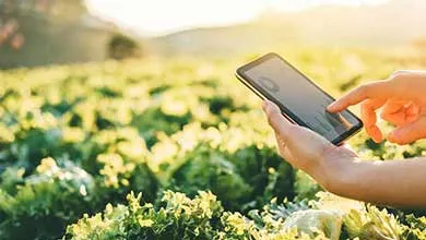 person holding tablet in field
